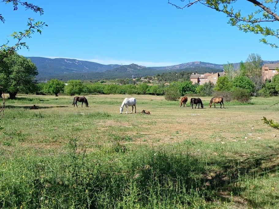 Apartamento El Puente Guadarrama Exterior photo